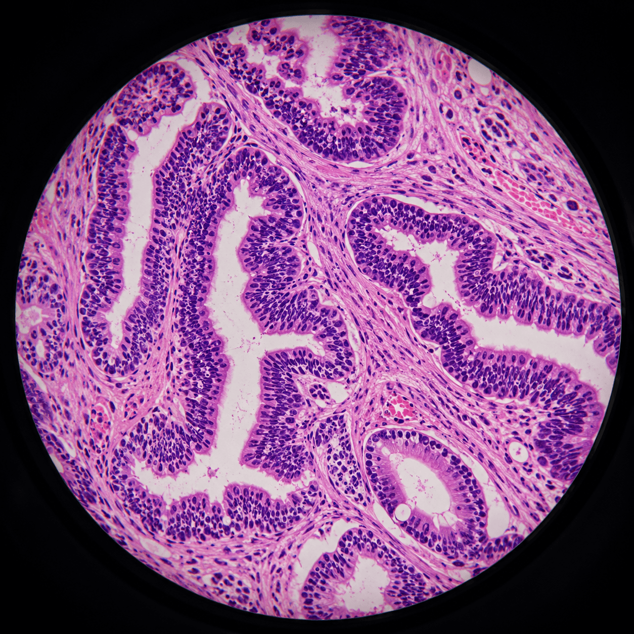Microscopy Automation